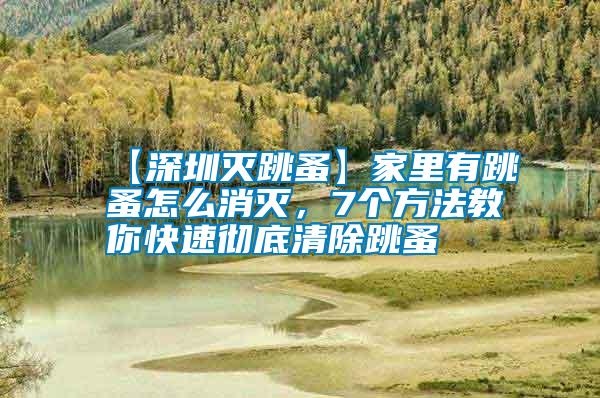 【深圳滅跳蚤】家里有跳蚤怎么消滅，7個方法教你快速徹底清除跳蚤