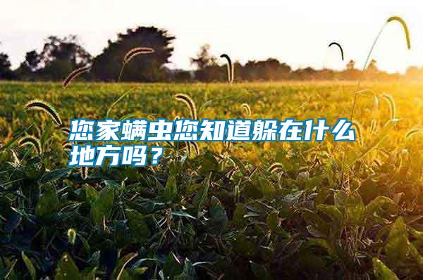 您家螨蟲您知道躲在什么地方嗎？