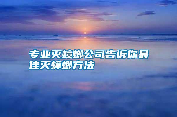 專業滅蟑螂公司告訴你最佳滅蟑螂方法