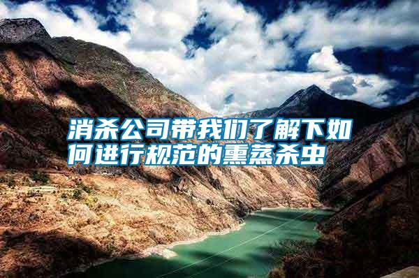 消殺公司帶我們了解下如何進行規范的熏蒸殺蟲