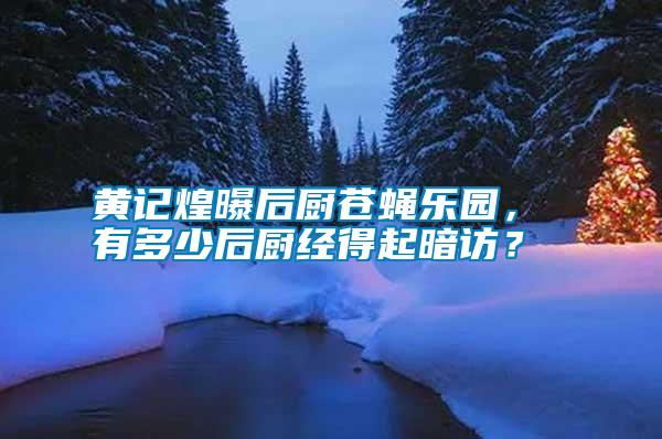 黃記煌曝后廚蒼蠅樂園， 有多少后廚經得起暗訪？