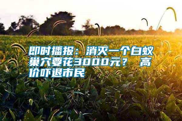 即時播報：消滅一個白蟻巢穴要花3000元？ 高價嚇退市民