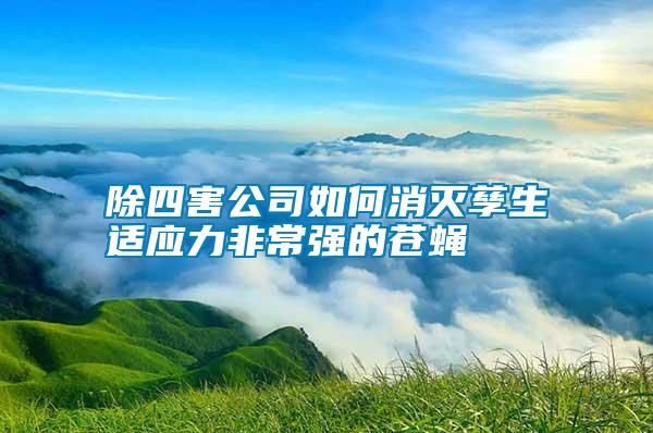 除四害公司如何消滅孳生適應力非常強的蒼蠅