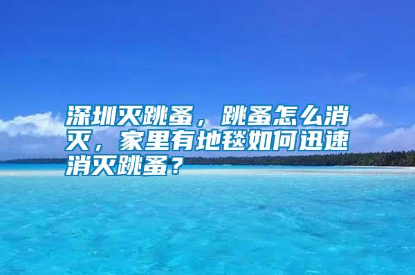 深圳滅跳蚤，跳蚤怎么消滅，家里有地毯如何迅速消滅跳蚤？