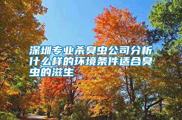 深圳專業殺臭蟲公司分析什么樣的環境條件適合臭蟲的滋生