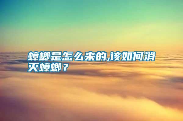 蟑螂是怎么來的,該如何消滅蟑螂？