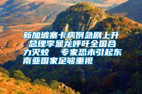 新加坡寨卡病例急劇上升 總理李顯龍呼吁全國合力滅蚊  專家恐未引起東南亞國家足夠重視