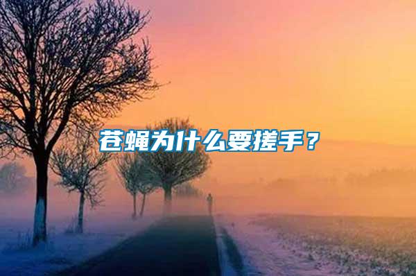 蒼蠅為什么要搓手？