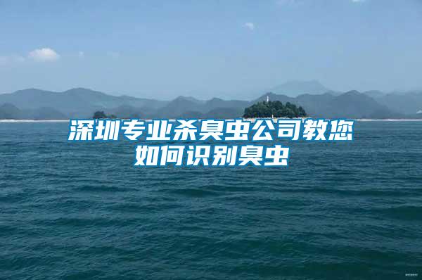 深圳專業殺臭蟲公司教您如何識別臭蟲