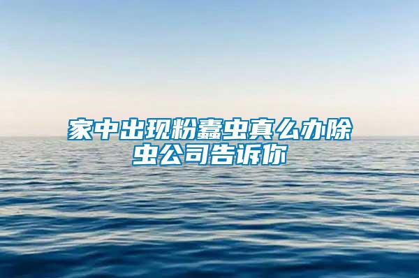 家中出現粉蠹蟲真么辦除蟲公司告訴你