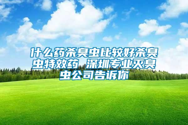 什么藥殺臭蟲比較好殺臭蟲特效藥 深圳專業滅臭蟲公司告訴你