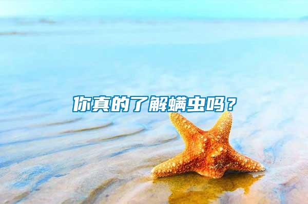 你真的了解螨蟲嗎？