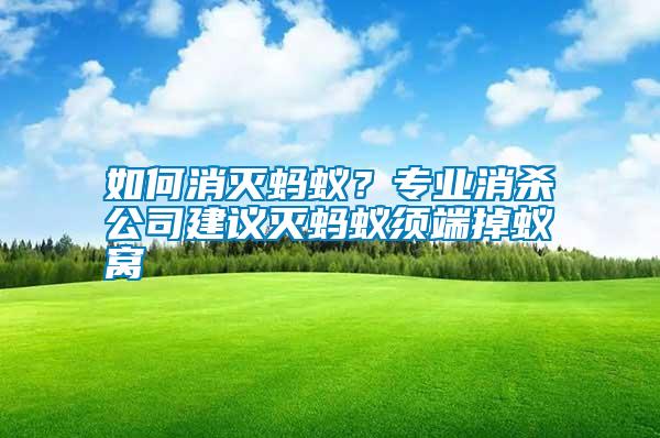 如何消滅螞蟻？專業消殺公司建議滅螞蟻須端掉蟻窩