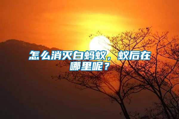 怎么消滅白螞蟻，蟻后在哪里呢？