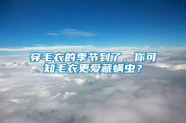 穿毛衣的季節到了，你可知毛衣更愛藏螨蟲？