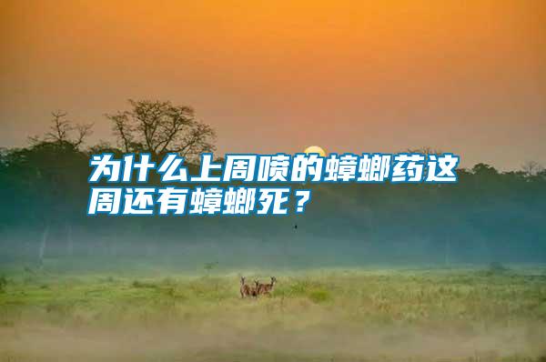 為什么上周噴的蟑螂藥這周還有蟑螂死？