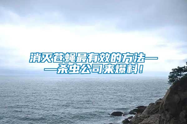 消滅蒼蠅最有效的方法——殺蟲公司來爆料！