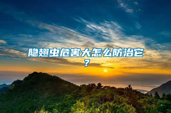 隱翅蟲危害大怎么防治它？