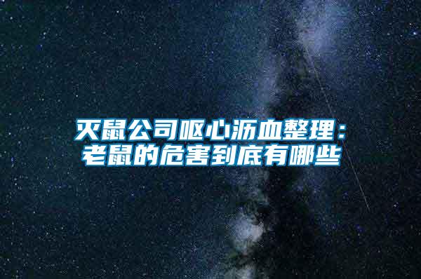 滅鼠公司嘔心瀝血整理：老鼠的危害到底有哪些