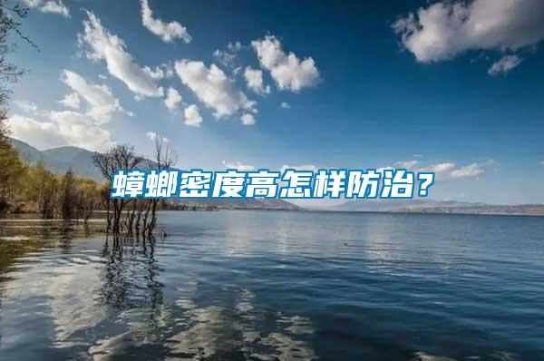 蟑螂密度高怎樣防治？