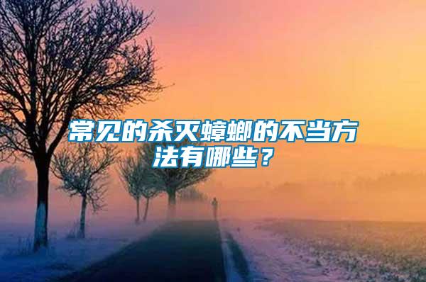 常見的殺滅蟑螂的不當方法有哪些？