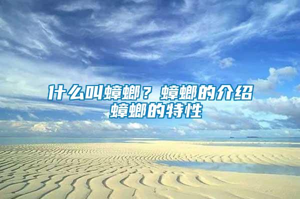 什么叫蟑螂？蟑螂的介紹 蟑螂的特性