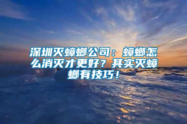 深圳滅蟑螂公司：蟑螂怎么消滅才更好？其實滅蟑螂有技巧！