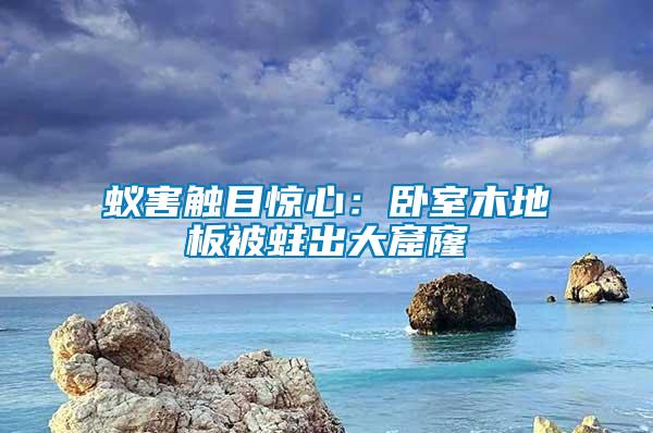 蟻害觸目驚心：臥室木地板被蛀出大窟窿