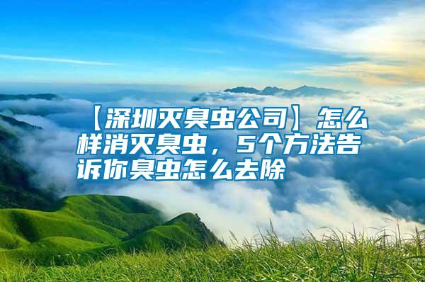 【深圳滅臭蟲公司】怎么樣消滅臭蟲，5個方法告訴你臭蟲怎么去除