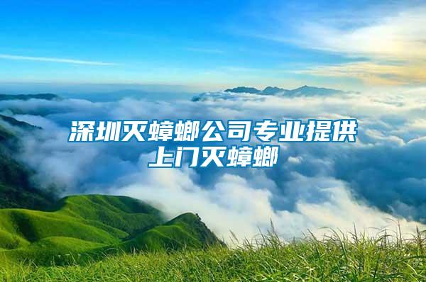 深圳滅蟑螂公司專業提供上門滅蟑螂