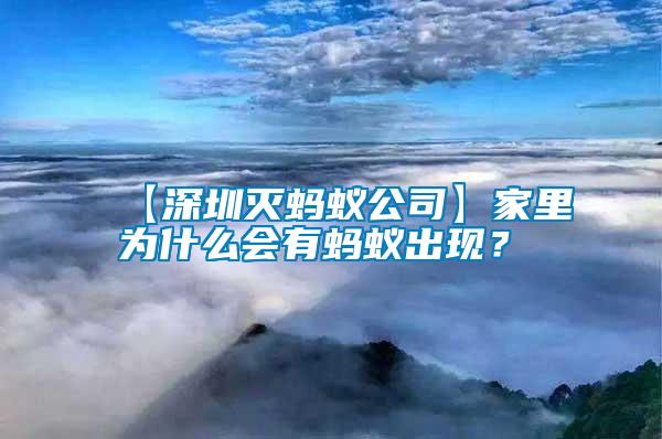 【深圳滅螞蟻公司】家里為什么會有螞蟻出現？