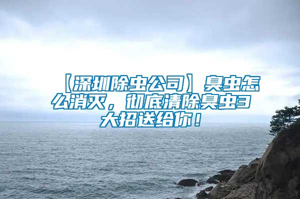 【深圳除蟲公司】臭蟲怎么消滅，徹底清除臭蟲3大招送給你！