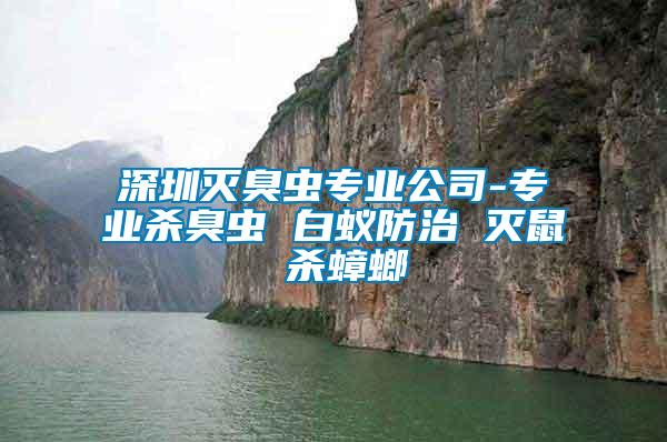 深圳滅臭蟲專業公司-專業殺臭蟲 白蟻防治 滅鼠 殺蟑螂