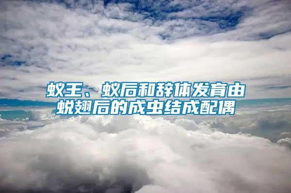 蟻王、蟻后和辭體發育由蛻翅后的成蟲結成配偶