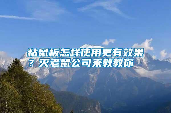 粘鼠板怎樣使用更有效果？滅老鼠公司來教教你