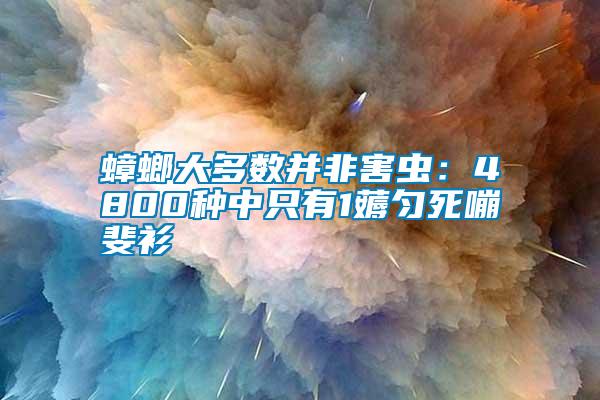 蟑螂大多數并非害蟲：4800種中只有1薅勻死嘣斐衫