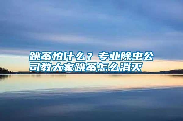 跳蚤怕什么？專業除蟲公司教大家跳蚤怎么消滅