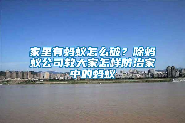 家里有螞蟻怎么破？除螞蟻公司教大家怎樣防治家中的螞蟻