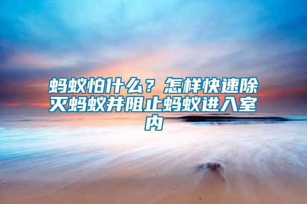 螞蟻怕什么？怎樣快速除滅螞蟻并阻止螞蟻進入室內