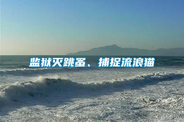 監獄滅跳蚤、捕捉流浪貓