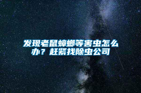 發現老鼠蟑螂等害蟲怎么辦？趕緊找除蟲公司