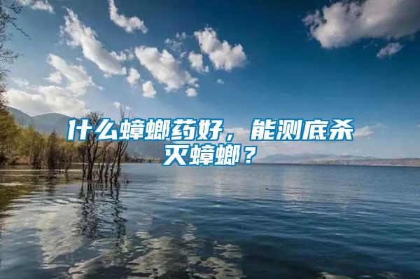 什么蟑螂藥好，能測底殺滅蟑螂？