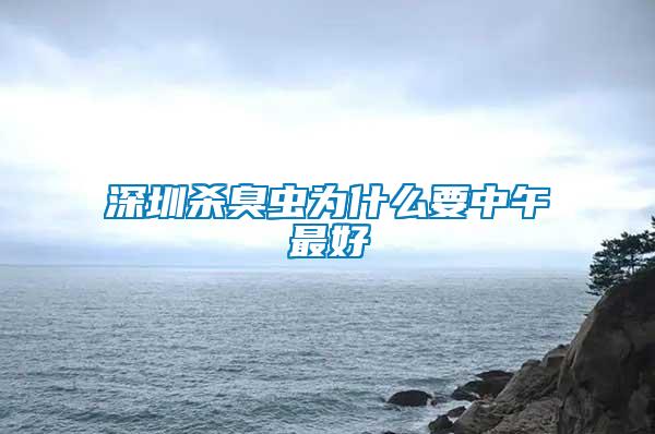 深圳殺臭蟲為什么要中午最好