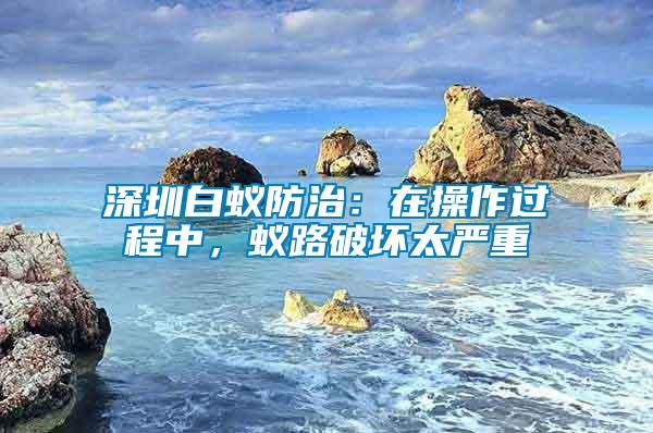 深圳白蟻防治：在操作過程中，蟻路破壞太嚴重