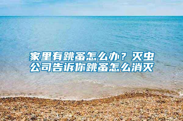 家里有跳蚤怎么辦？滅蟲公司告訴你跳蚤怎么消滅