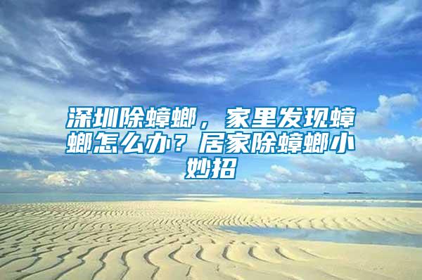 深圳除蟑螂，家里發現蟑螂怎么辦？居家除蟑螂小妙招