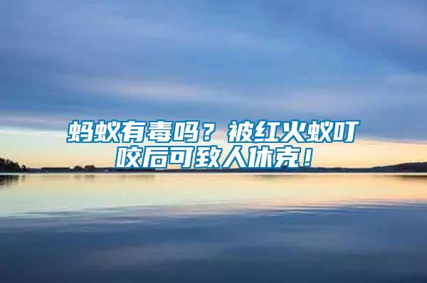 螞蟻有毒嗎？被紅火蟻叮咬后可致人休克！