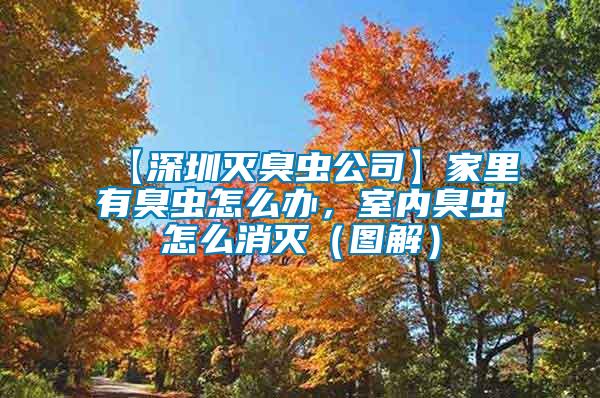 【深圳滅臭蟲公司】家里有臭蟲怎么辦，室內臭蟲怎么消滅（圖解）