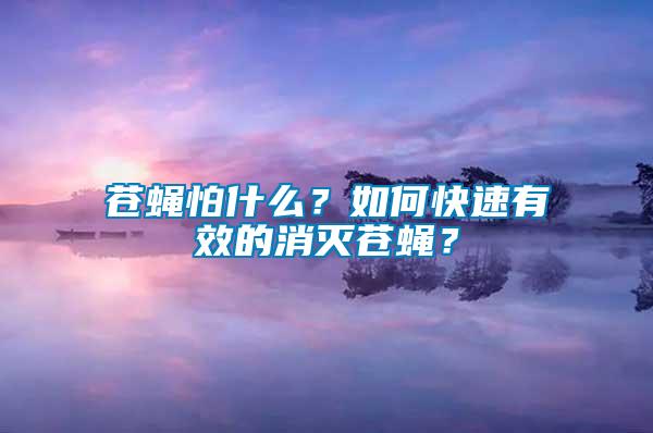 蒼蠅怕什么？如何快速有效的消滅蒼蠅？