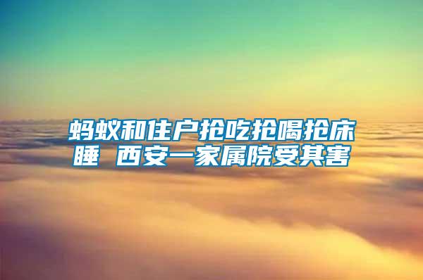 螞蟻和住戶搶吃搶喝搶床睡 西安一家屬院受其害